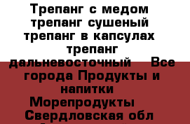 Трепанг с медом, трепанг сушеный, трепанг в капсулах, трепанг дальневосточный. - Все города Продукты и напитки » Морепродукты   . Свердловская обл.,Артемовский г.